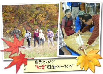 紅葉遊癒ウォーキング