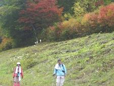 白馬さのさか“紅葉”遊癒ウォーキング