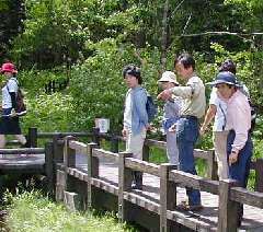 姫川源流自然探勝園ガイド（イメージ）