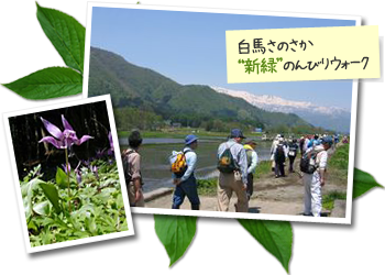 白馬さのさか新緑のんびりウォーク