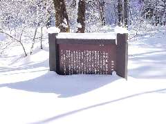 �P�쌹��
