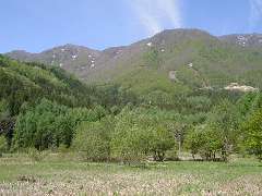 �R